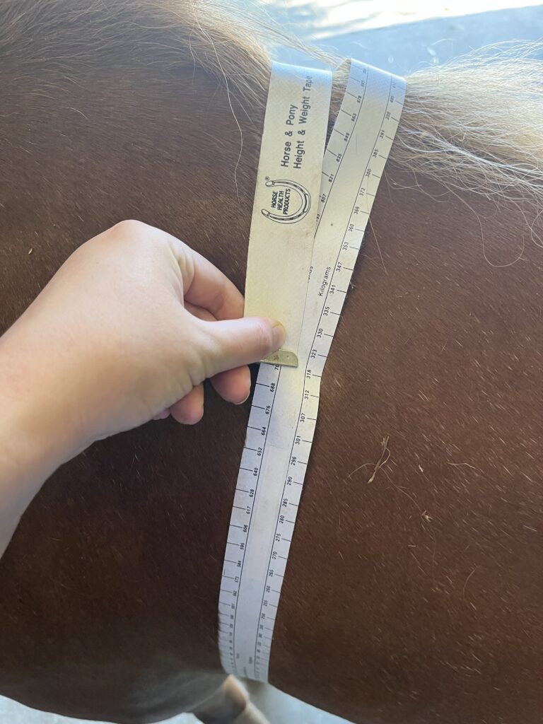 Door het gewicht van je paard periodiek te meten kun je zien welke invloed dit heeft op de pasvorm. 